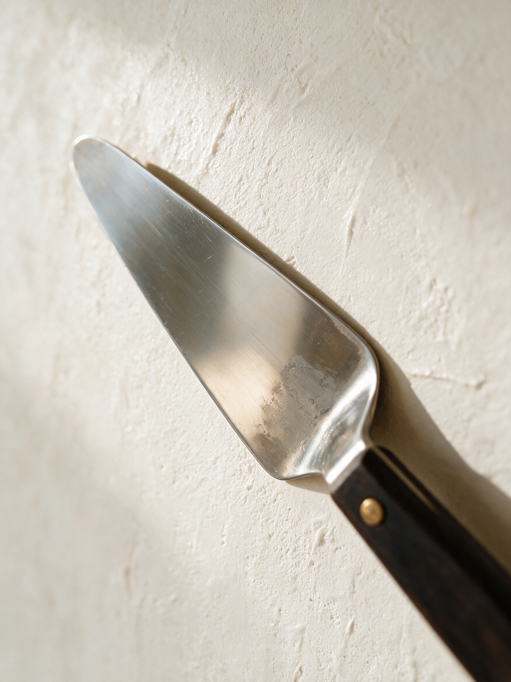 Glättkelle an frisch abgezogener Kalkputzwand